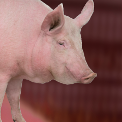 shutterstock_1191040465WEB