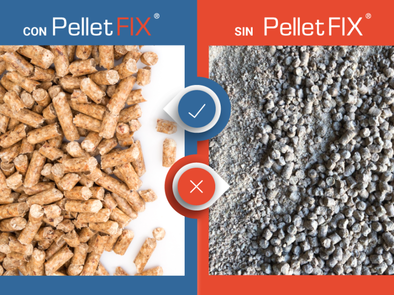 Con-SinPelletFIX-2024